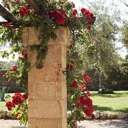 Tenuta Monacelli