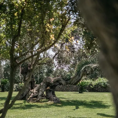Tenuta Monacelli Country house Lecce
