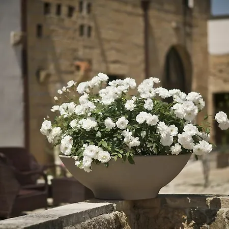 Tenuta Monacelli Venkovský dům Lecce